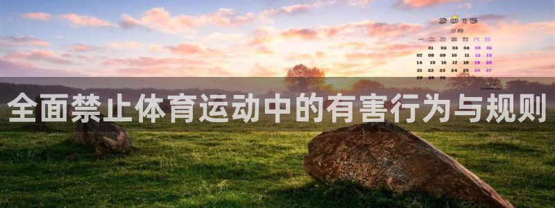 全面禁止体育运动中的有害行为与规则