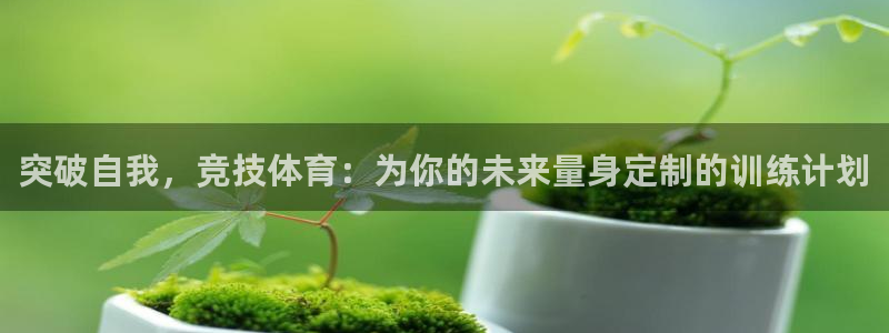 突破自我，竞技体育：为你的未来量身定制的训练计划