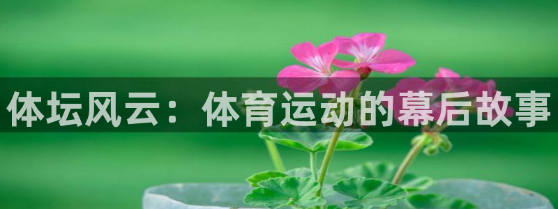 体坛风云：体育运动的幕后故事