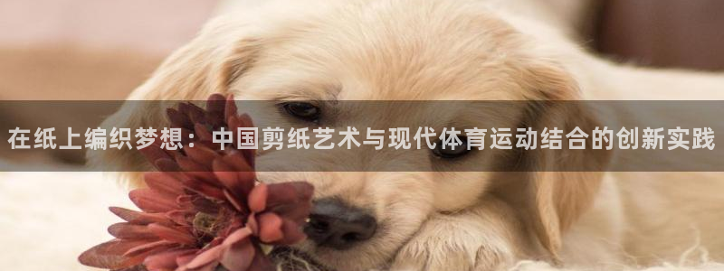 在纸上编织梦想：中国剪纸艺术与现代体育运动结合的创新实践
